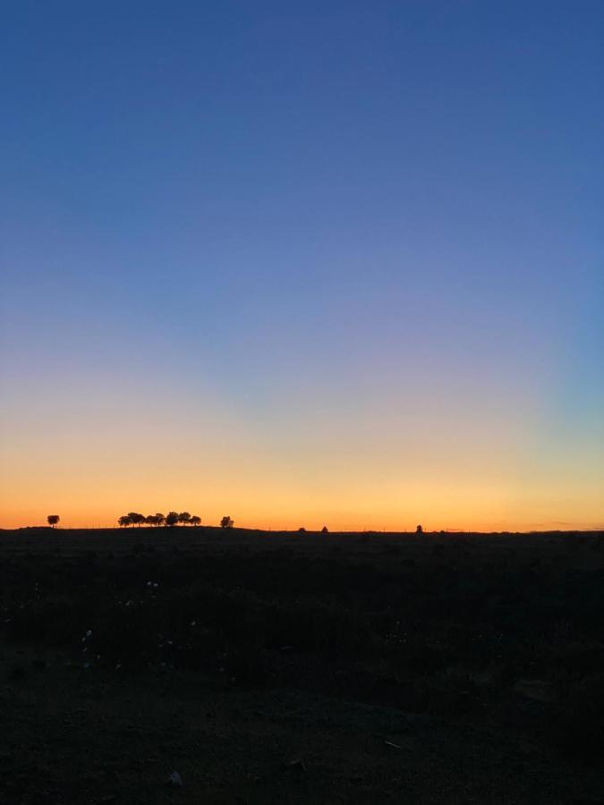 Herdade De Alagaes Mertola Bagian luar foto